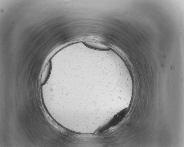 X0000086071200200704202118