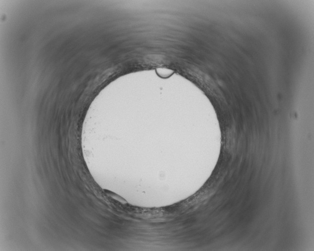 X0000086071201200704202118