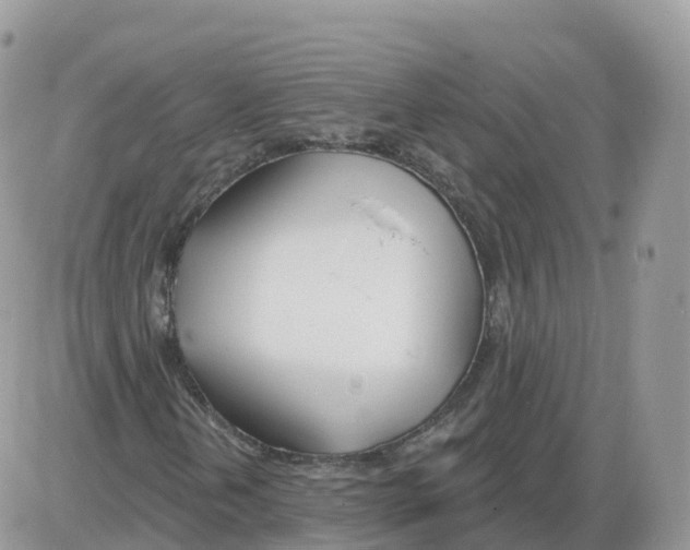 X0000086071202200704202118