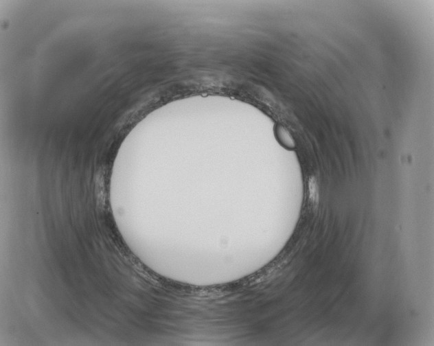 X0000086071203200704202118