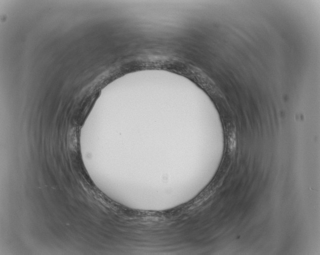 X0000086071204200704202118