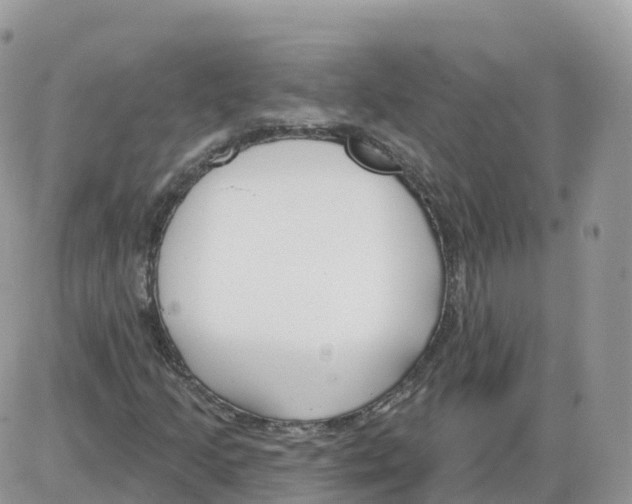 X0000086071205200704202118