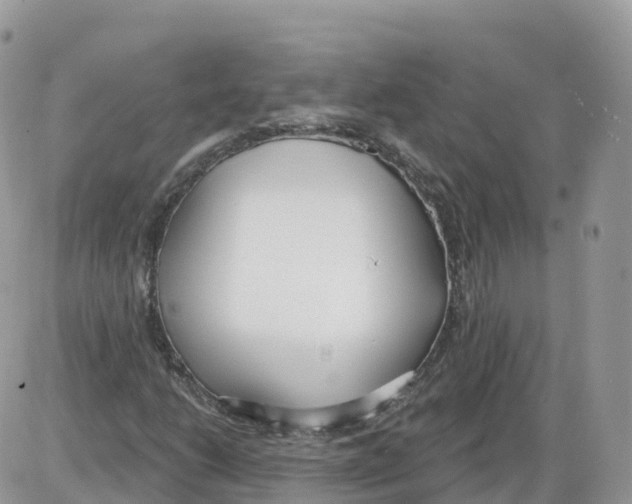 X0000086071206200704202118