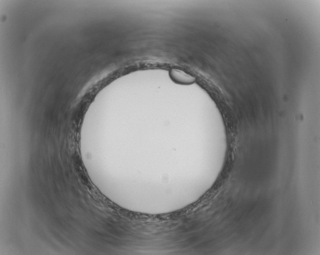 X0000086071207200704202118