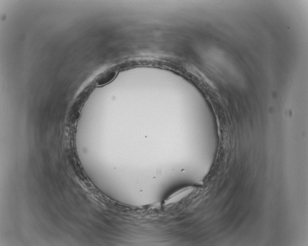 X0000086071208200704202118