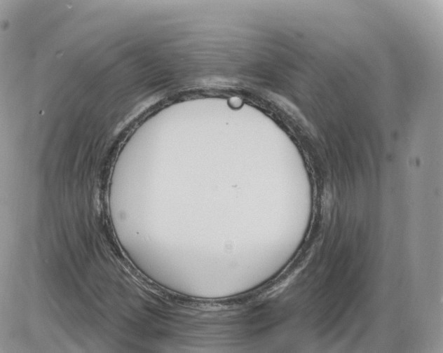 X0000086071209200704202118