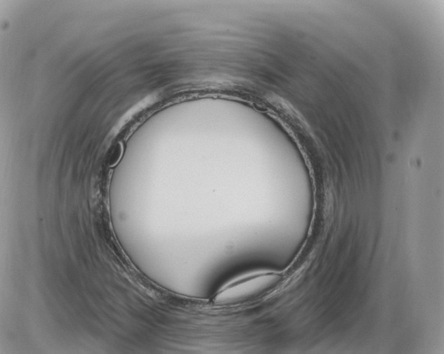 X0000086071210200704202118