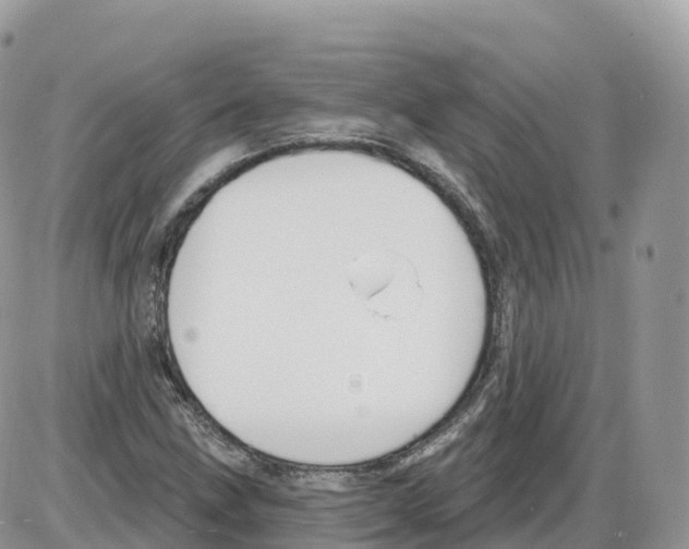 X0000086071211200704202118