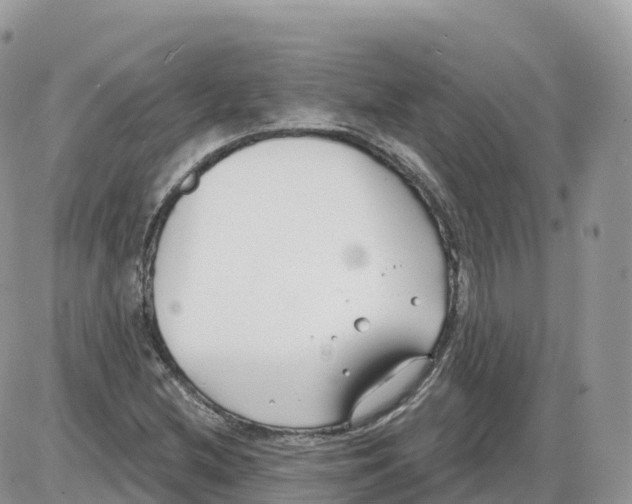 X0000086071212200704202118