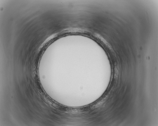 X0000086071213200704202118