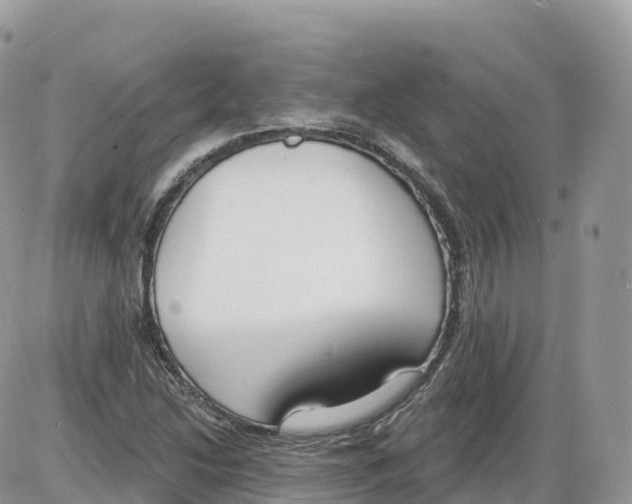 X0000086071214200704202118