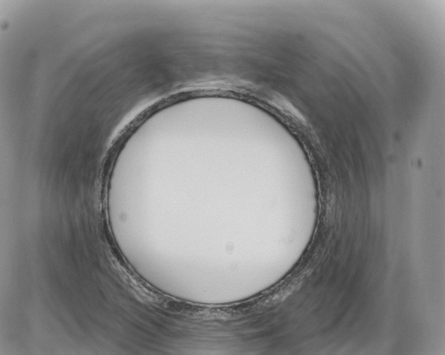 X0000086071216200704202118