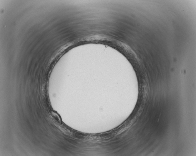 X0000086071217200704202118