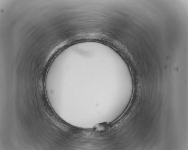 X0000086071218200704202118