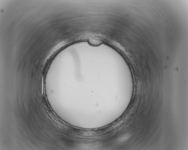 X0000086071219200704202118