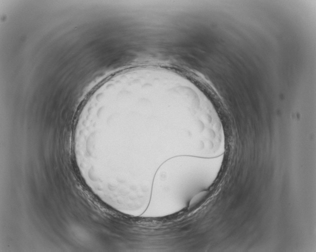 X0000086071220200704202118