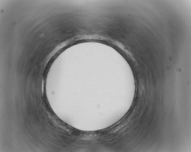 X0000086071221200704202118