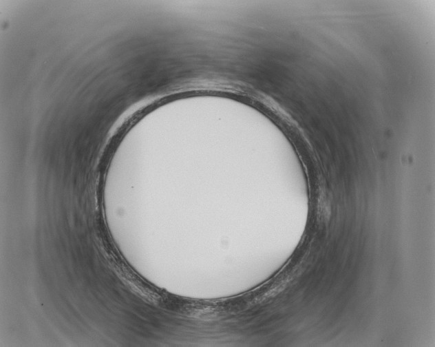 X0000086071222200704202118