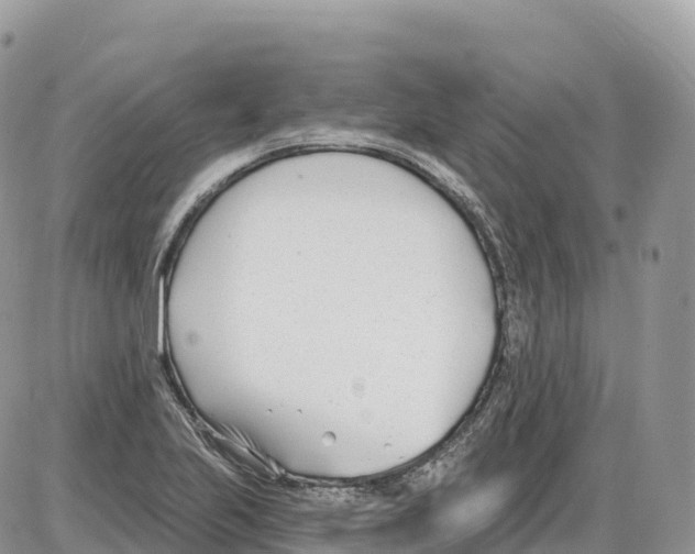 X0000086071223200704202118