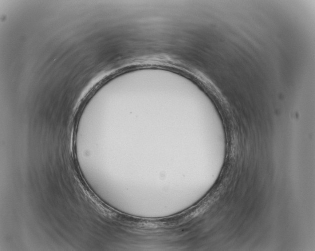 X0000086071224200704202118