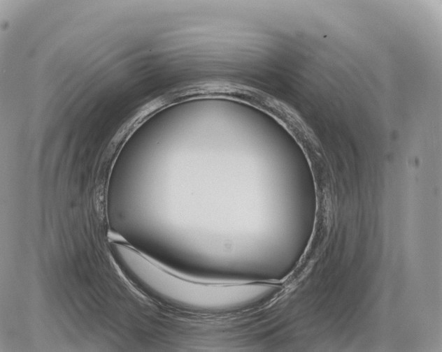 X0000086071225200704202118