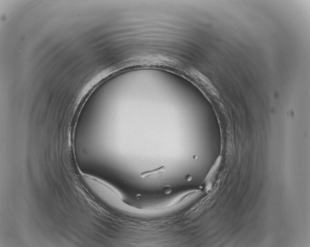 X0000086071226200704202118