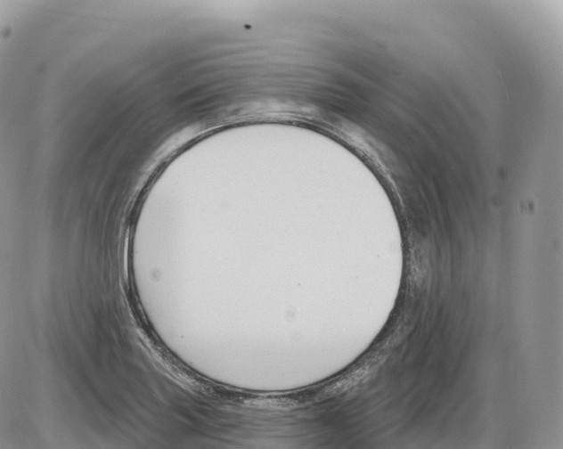 X0000086071227200704202118