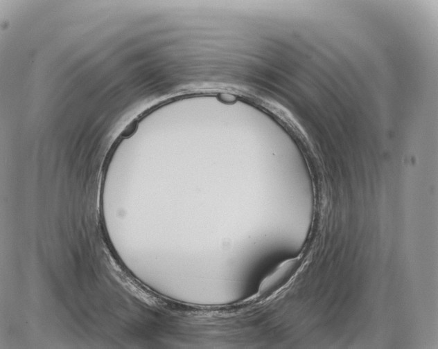 X0000086071228200704202118