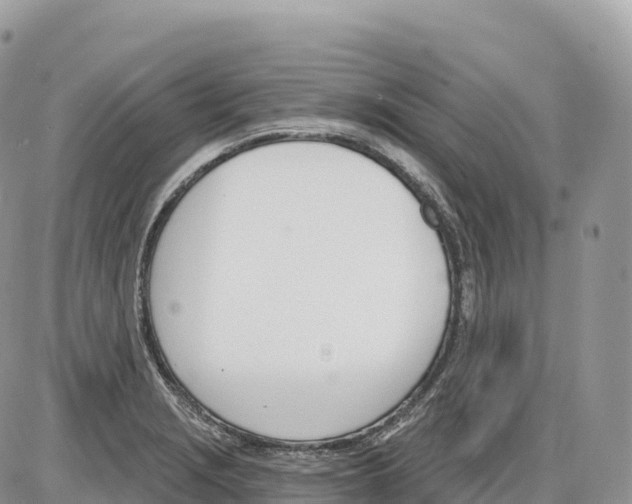 X0000086071229200704202118