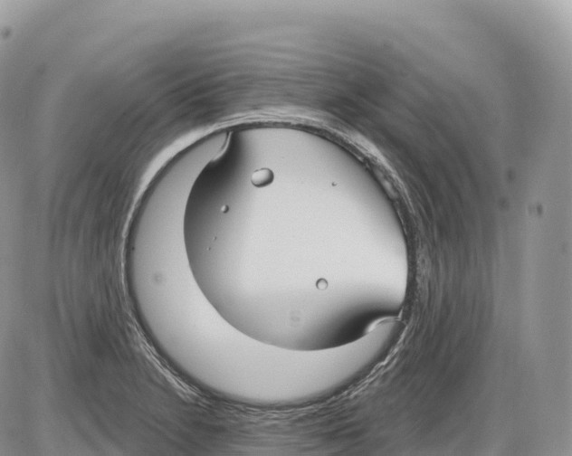 X0000086071230200704202118