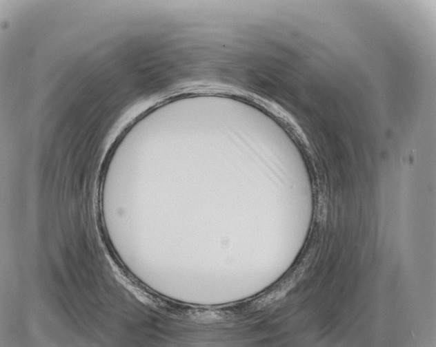 X0000086071231200704202118