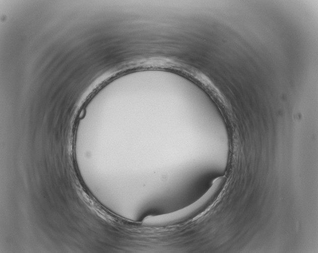 X0000086071232200704202118