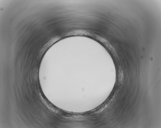 X0000086071233200704202118