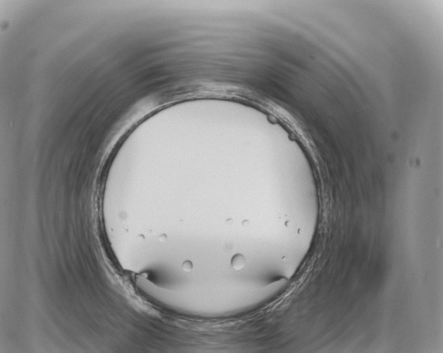 X0000086071235200704202118