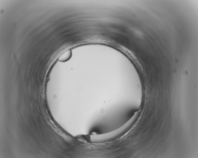 X0000086071236200704202118