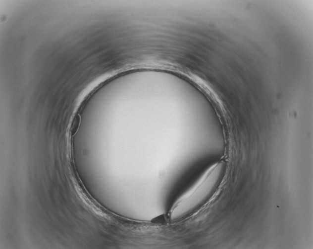 X0000086071238200704202118