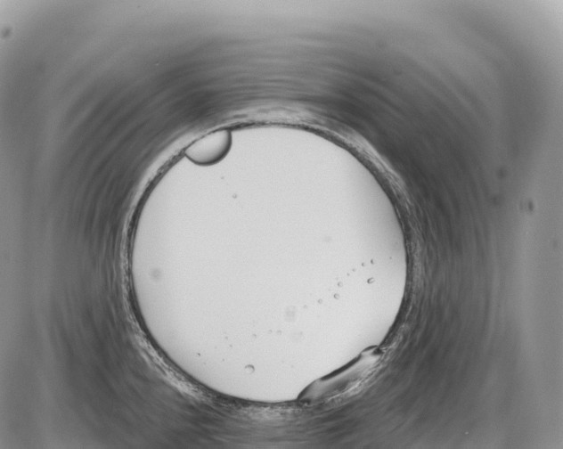 X0000086071240200704202118