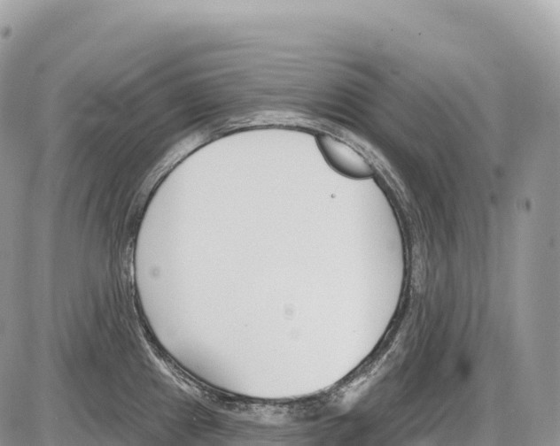 X0000086071241200704202118