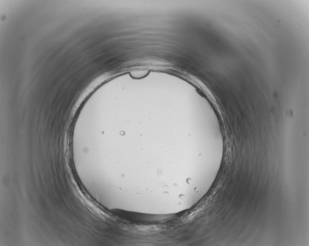 X0000086071243200704202118