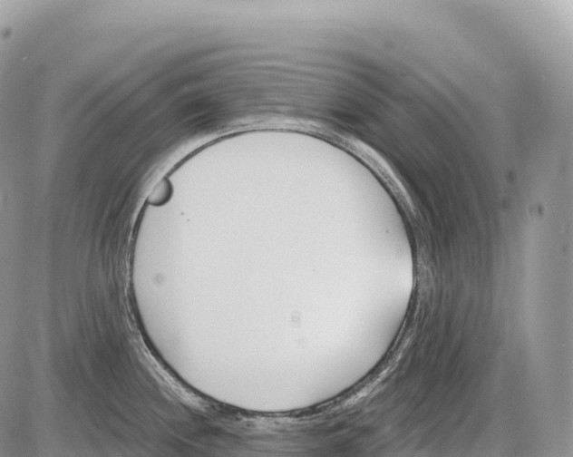 X0000086071244200704202118