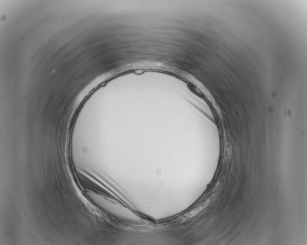 X0000086071245200704202118