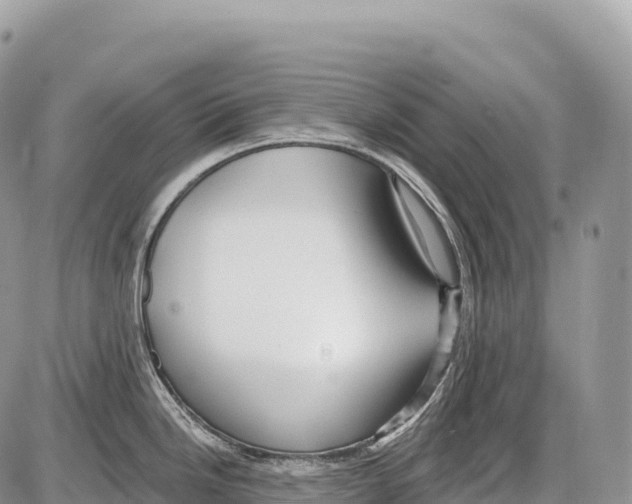 X0000086071246200704202118