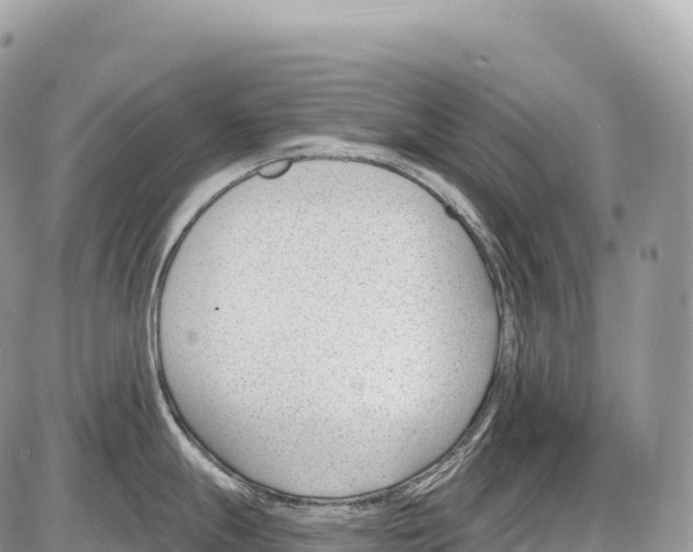 X0000086071247200704202118