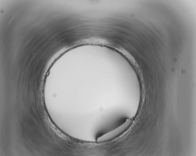 X0000086071248200704202118