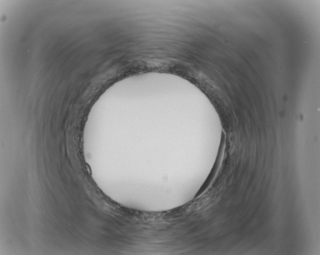 X0000086071249200704202118