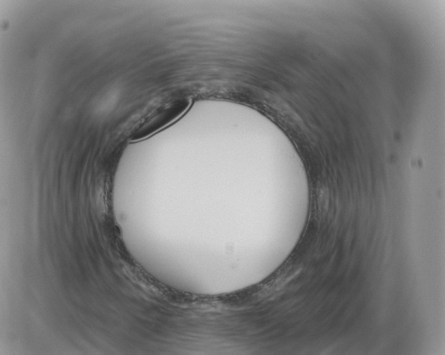 X0000086071250200704202117