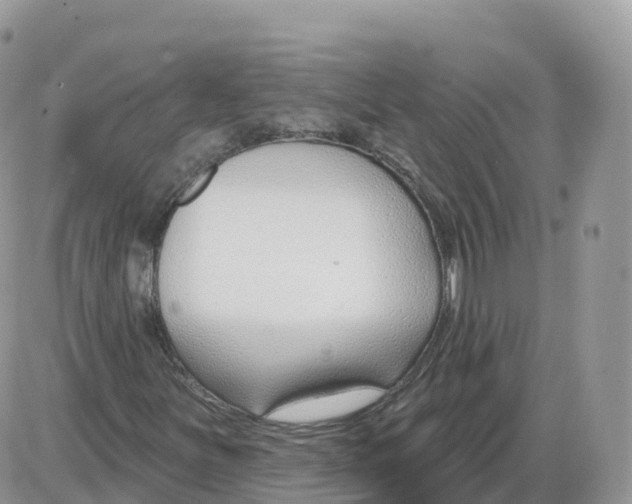 X0000086071251200704202117