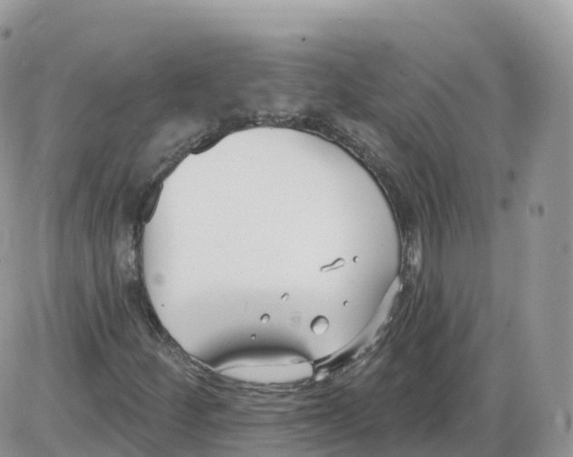 X0000086071252200704202117