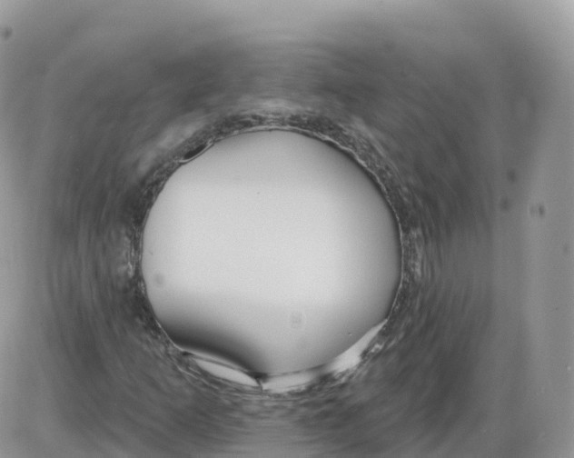 X0000086071253200704202117