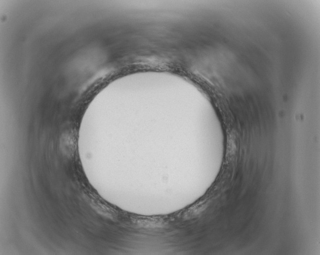 X0000086071254200704202117